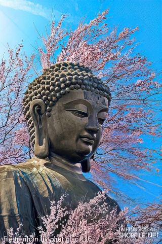 file tranh in uv phat giao 116