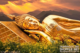 file tranh in uv phat giao 118