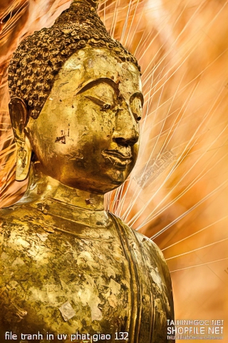 file tranh in uv phat giao 132