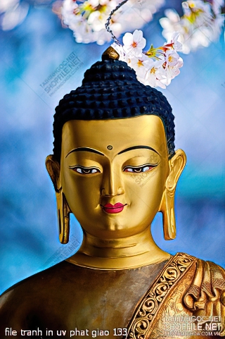 file tranh in uv phat giao 133