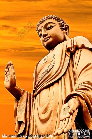 file tranh in uv phat giao 134