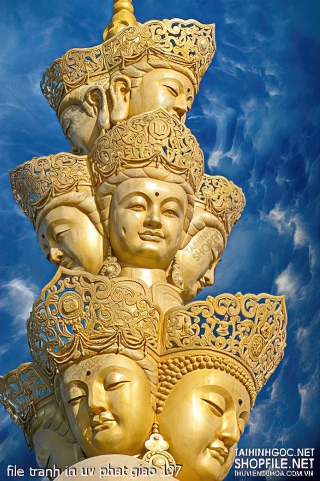 file tranh in uv phat giao 137