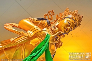 file tranh in uv phat giao 138