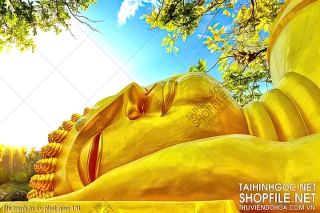 file tranh in uv phat giao 141