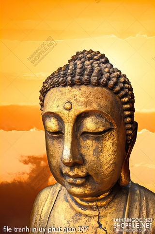 file tranh in uv phat giao 147