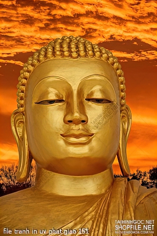 file tranh in uv phat giao 151