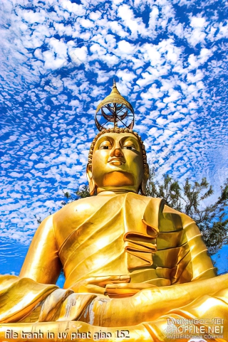 file tranh in uv phat giao 152