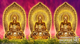 file tranh in uv phat giao 153