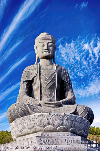 file tranh in uv phat giao 160