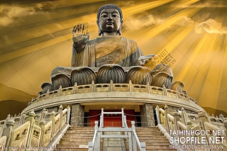 file tranh in uv phat giao 161