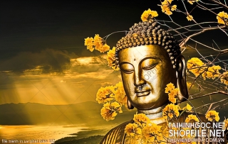 file tranh in uv phat giao 162