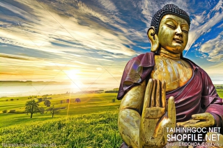 file tranh in uv phat giao 165