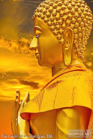 file tranh in uv phat giao 166