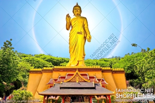 file tranh in uv phat giao 168