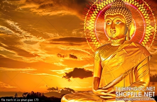 file tranh in uv phat giao 173