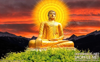 file tranh in uv phat giao 176