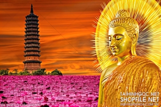 file tranh in uv phat giao 180