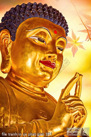 file tranh in uv phat giao 184