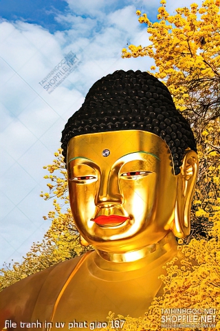 file tranh in uv phat giao 187