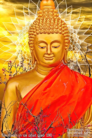 file tranh in uv phat giao 190