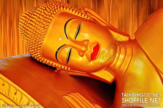 file tranh in uv phat giao 194