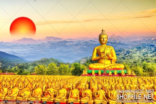 file tranh in uv phat giao 195