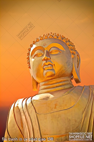 file tranh in uv phat giao 198