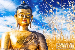 file tranh in uv phat giao 200