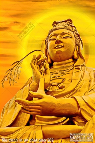 file tranh in uv phat giao 202