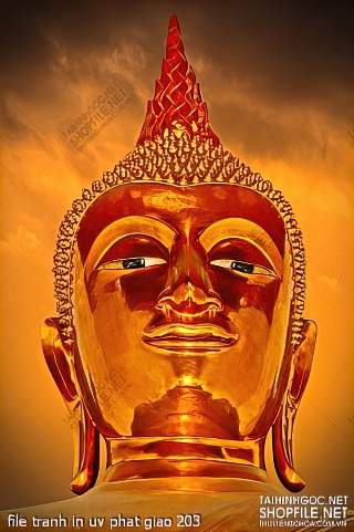 file tranh in uv phat giao 203