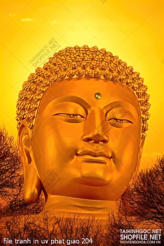 file tranh in uv phat giao 204