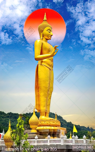 file tranh in uv phat giao 205