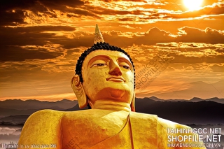 file tranh in uv phat giao 206