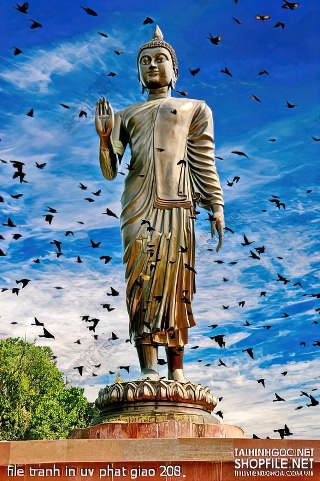 file tranh in uv phat giao 208