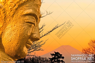 file tranh in uv phat giao 210