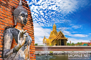 file tranh in uv phat giao 216