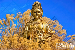 file tranh in uv phat giao 217