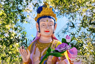 file tranh in uv phat giao 218