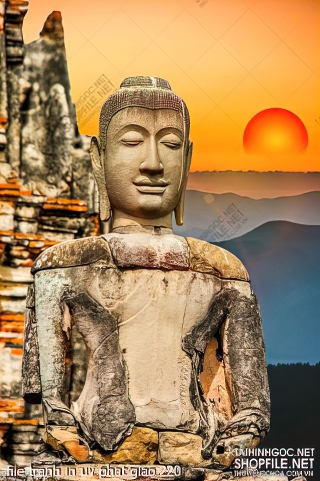 file tranh in uv phat giao 220