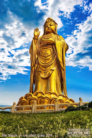 file tranh in uv phat giao 224