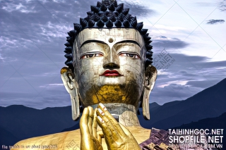 file tranh in uv phat giao 225