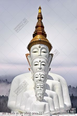 file tranh in uv phat giao 227