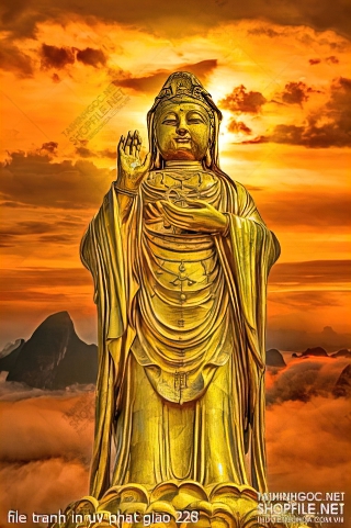 file tranh in uv phat giao 228