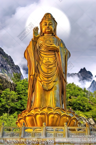 file tranh in uv phat giao 229