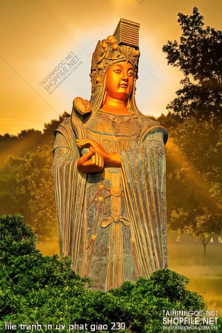 file tranh in uv phat giao 230