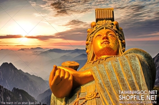 file tranh in uv phat giao 231