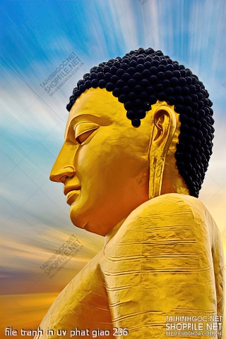 file tranh in uv phat giao 236