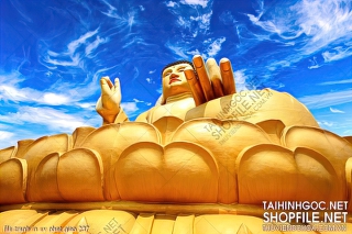 file tranh in uv phat giao 237