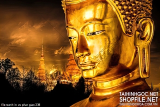 file tranh in uv phat giao 238