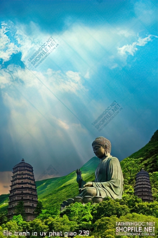 file tranh in uv phat giao 239